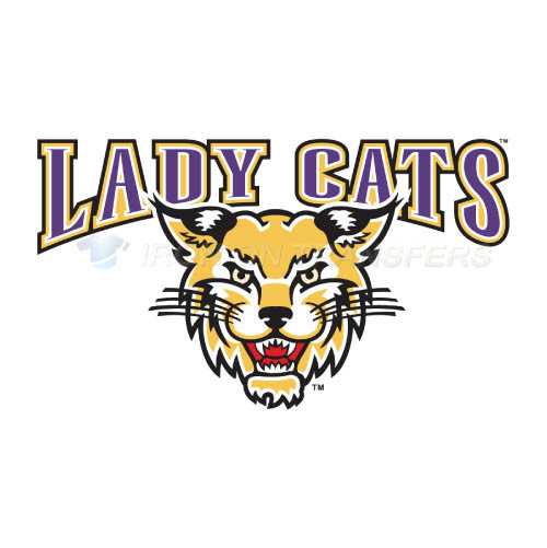Western Carolina Catamounts Iron-on Stickers (Heat Transfers)NO.6946